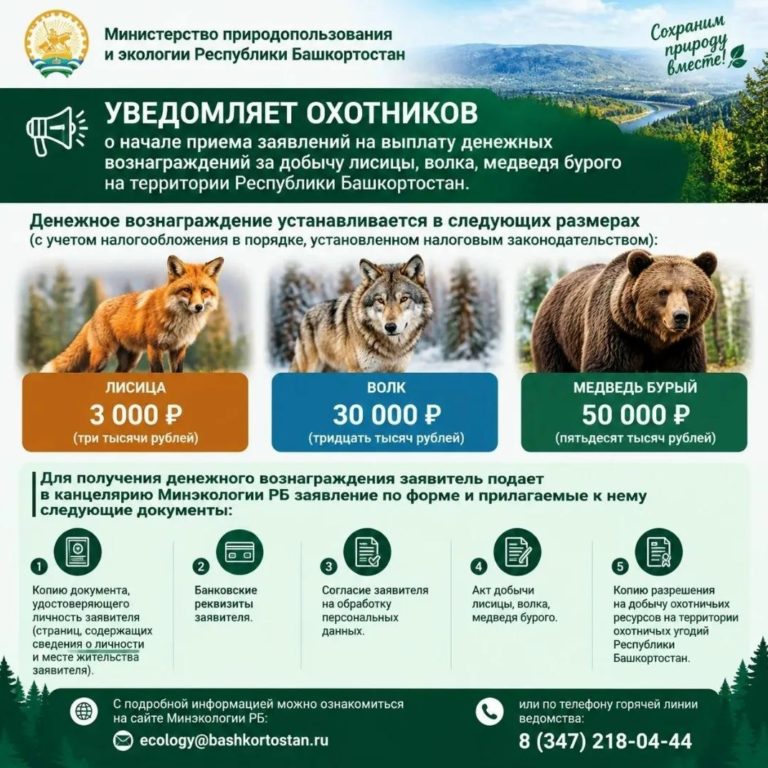 Вознаграждение за добычу лисицы, волка и медведя.